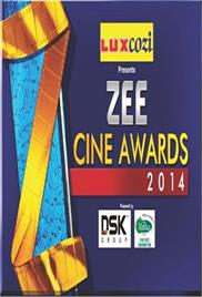 Zee Cine Awards (2013)