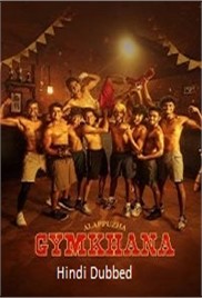 Alappuzha Gymkhana (2025)
