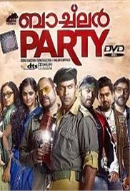 Bachelor Party (2012)