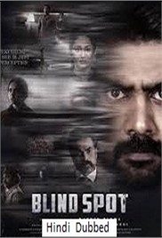 Blind Spot (2025)