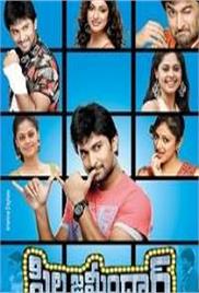 Daan Veer (Pilla Zamindar 2011) Hindi Dubbed Full Movie Watch Online Free Download