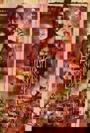 Head Bush: Vol 1 (2022)