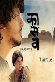 Kaasav: Turtle (2017)
