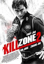 Kill Zone 2 (2015) (In Hindi)