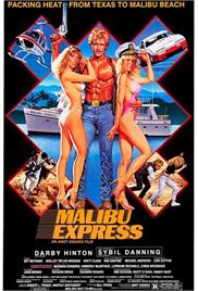 Malibu Express (1985) (In Hindi)