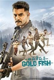 Operation Gold Fish (2022)