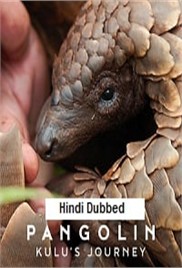 Pangolin: Kulus Journey (2025)