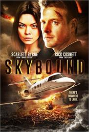 Skybound (2017) (In Hindi)