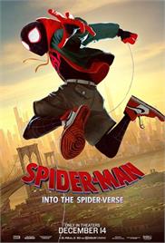 Spider-Man – Into the Spider-Verse (2018) (In Hindi)