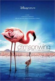 The Crimson Wing – Mystery of the Flamingos (2008) (In Hindi)