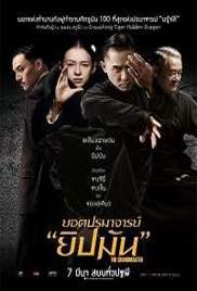 The Grandmaster (2013)