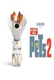 The Secret Life of Pets 2 (2019)