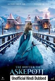 Three Wishes for Cinderella (2021)