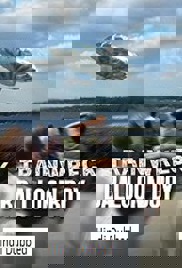 Trainwreck: Balloon Boy (2025)